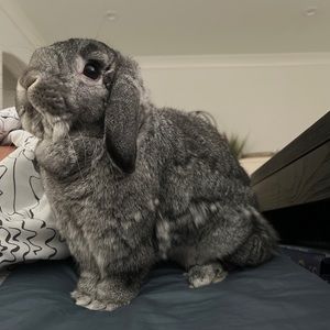 Meet your Posher, Extro